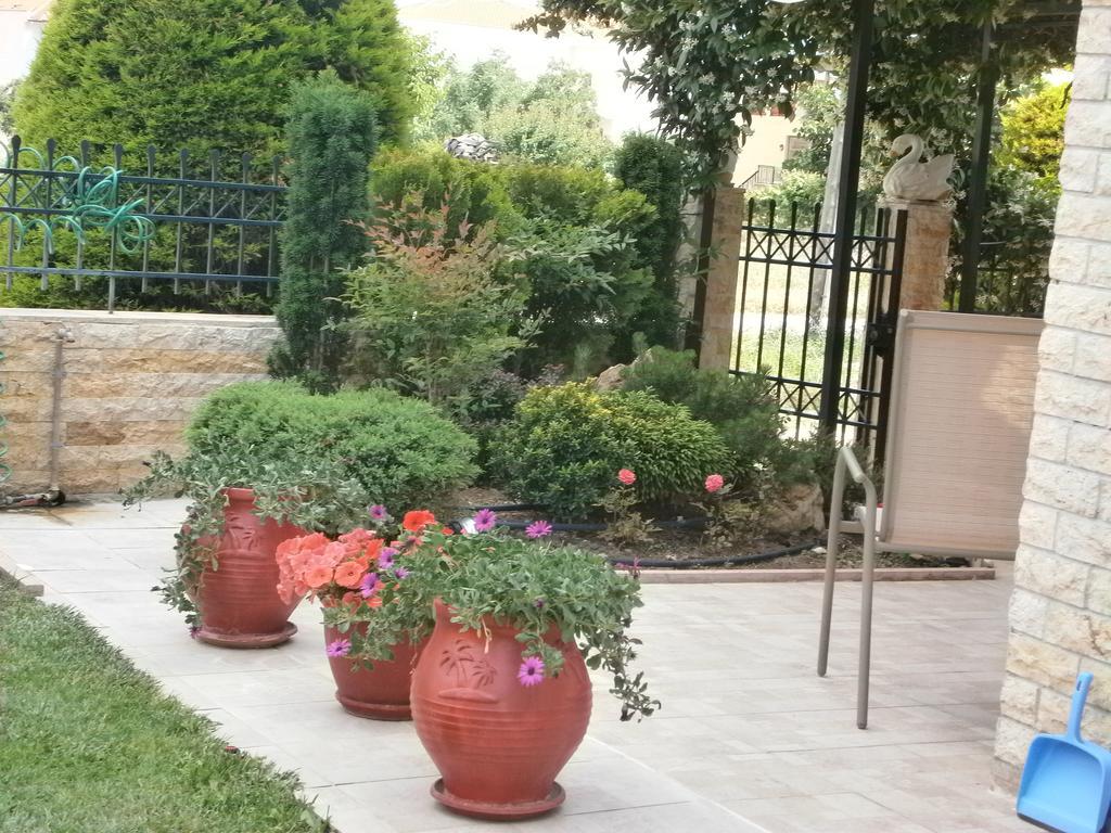 Sofia'S Villa Nikiti  Zewnętrze zdjęcie